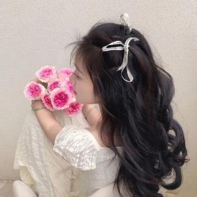 史黛拉·达拉斯